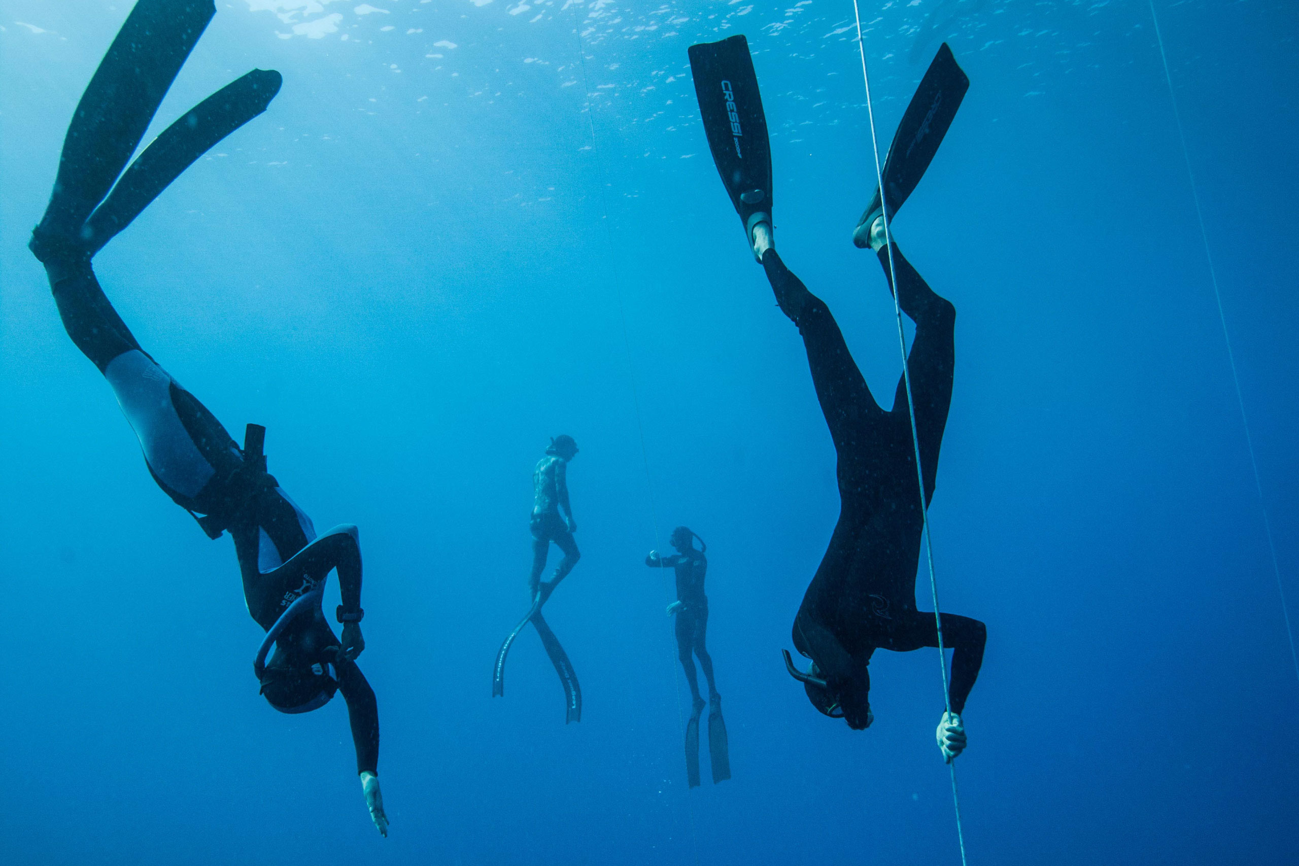 (English) PFI Safety Freediver